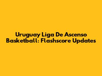 Uruguay Liga De Ascenso Basketball: Flashscore Updates