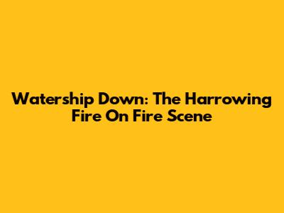 Watership Down: The Harrowing Fire On Fire Scene