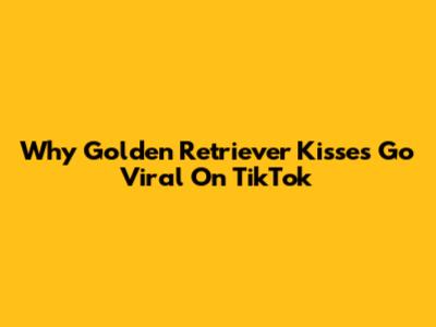 Why Golden Retriever Kisses Go Viral On TikTok