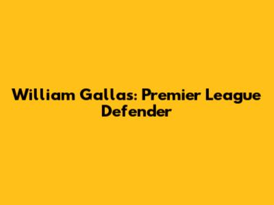 William Gallas: Premier League Defender