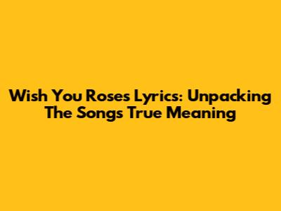 Wish You Roses Lyrics: Unpacking The Song's True Meaning
