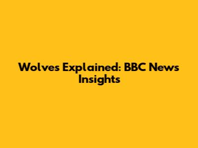Wolves Explained: BBC News Insights