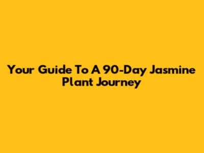 Your Guide To A 90-Day Jasmine Plant Journey