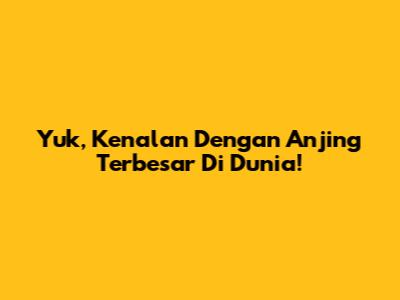Yuk, Kenalan Dengan Anjing Terbesar Di Dunia!