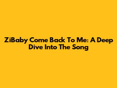 ZiBaby Come Back To Me: A Deep Dive Into The Song