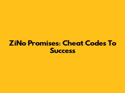 ZiNo Promises: Cheat Codes To Success