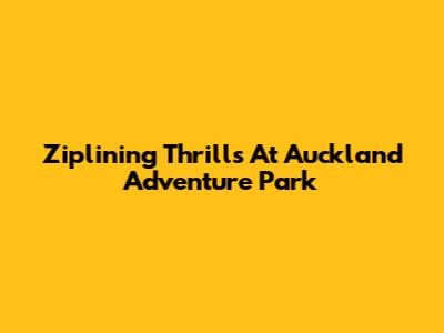 Ziplining Thrills At Auckland Adventure Park