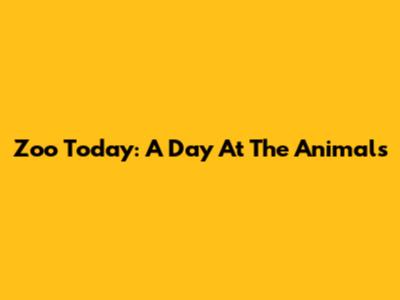 Zoo Today: A Day At The Animals