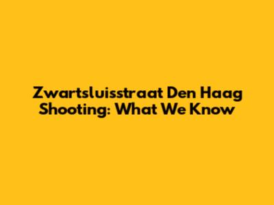Zwartsluisstraat Den Haag Shooting: What We Know